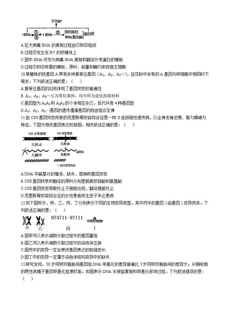 天津市滨海新区大港第一中学2024-2025学年高三上学期11月期中生物试题第3页