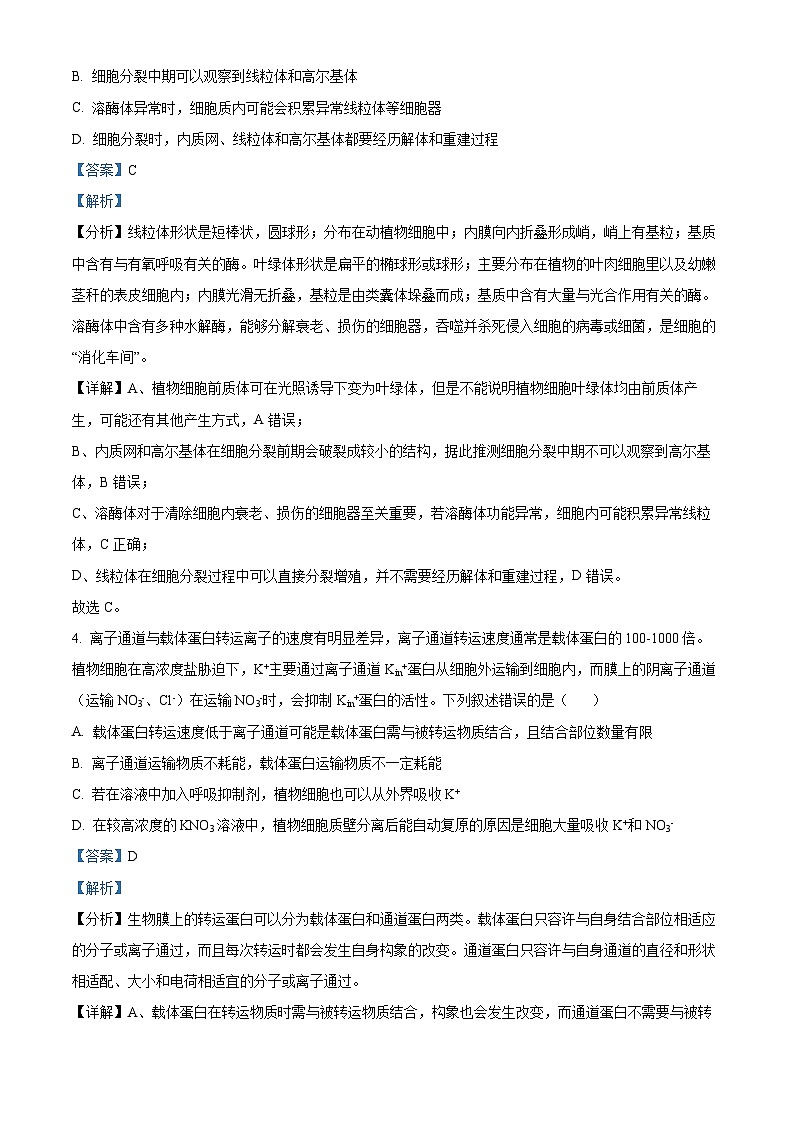 山东省聊城市2024-2025学年高三上学期期中考试生物试题含解析第3页