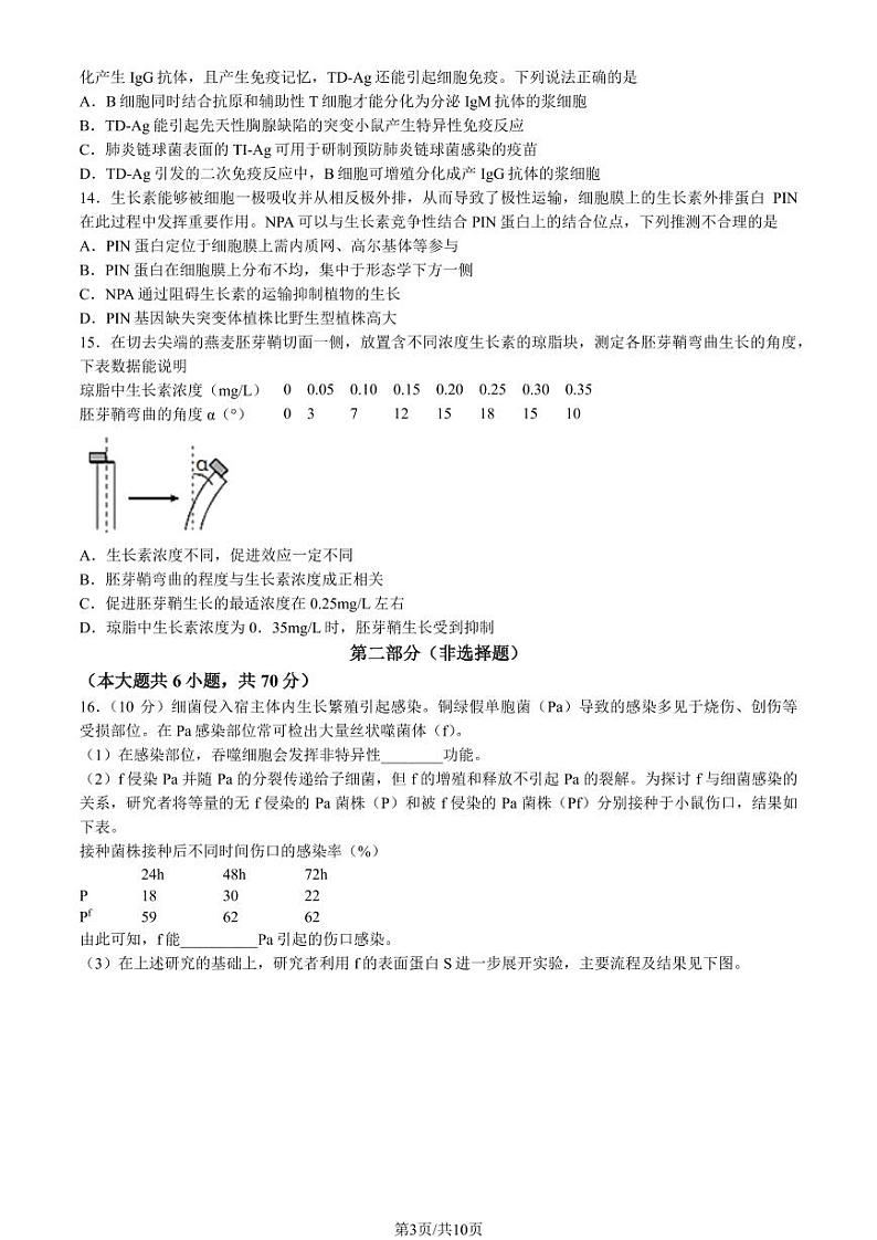 2024北京东直门中学高二（上）期中生物（选考）试卷（教师版）03