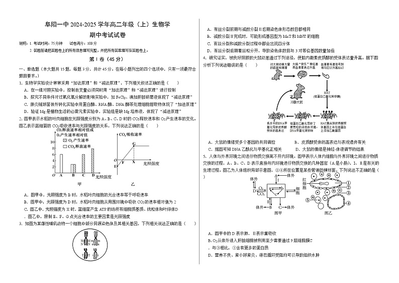 安徽省阜阳市第一中学2024-2025学年高二上学期期中生物试题第1页