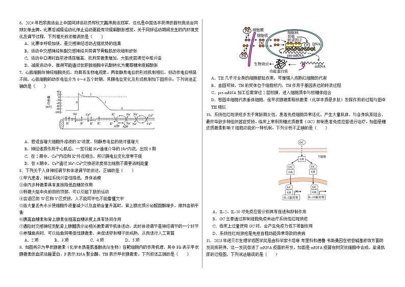 安徽省阜阳市第一中学2024-2025学年高二上学期期中生物试题第2页