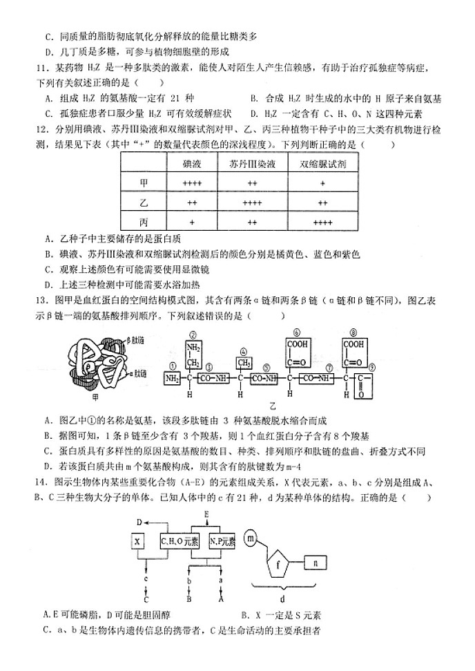 江苏省高邮市2024-2025学年高一上学期期中考试生物试题第2页