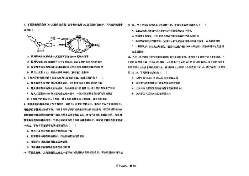 河北省衡水中学2024-2025学年高三上学期期中考试生物试题第2页