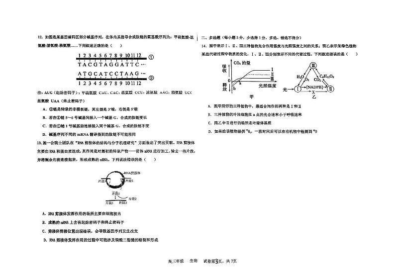 河北省衡水中学2024-2025学年高三上学期期中考试生物试题第3页