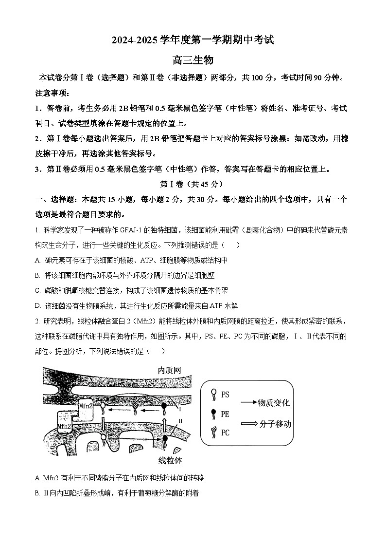 山东省青岛市黄岛区2025届高三上学期11月期中考试生物试题第1页