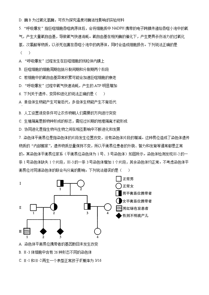 山东省青岛市黄岛区2025届高三上学期11月期中考试生物试题第3页