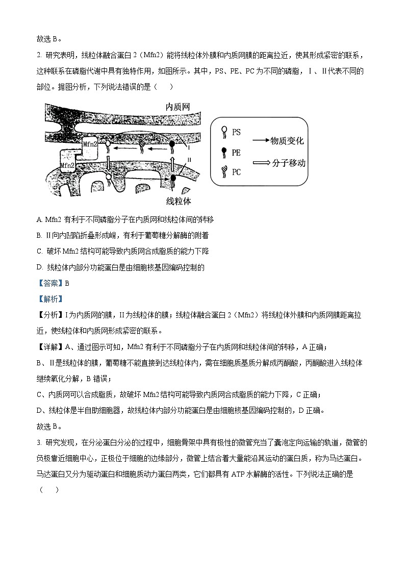 山东省青岛市黄岛区2025届高三上学期11月期中考试生物试题word版含解析第2页