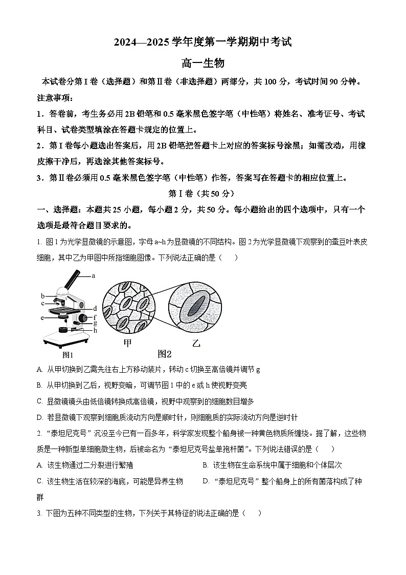 山东省青岛市黄岛区2024-2025学年高一上学期11月期中生物试题  Word版无答案第1页