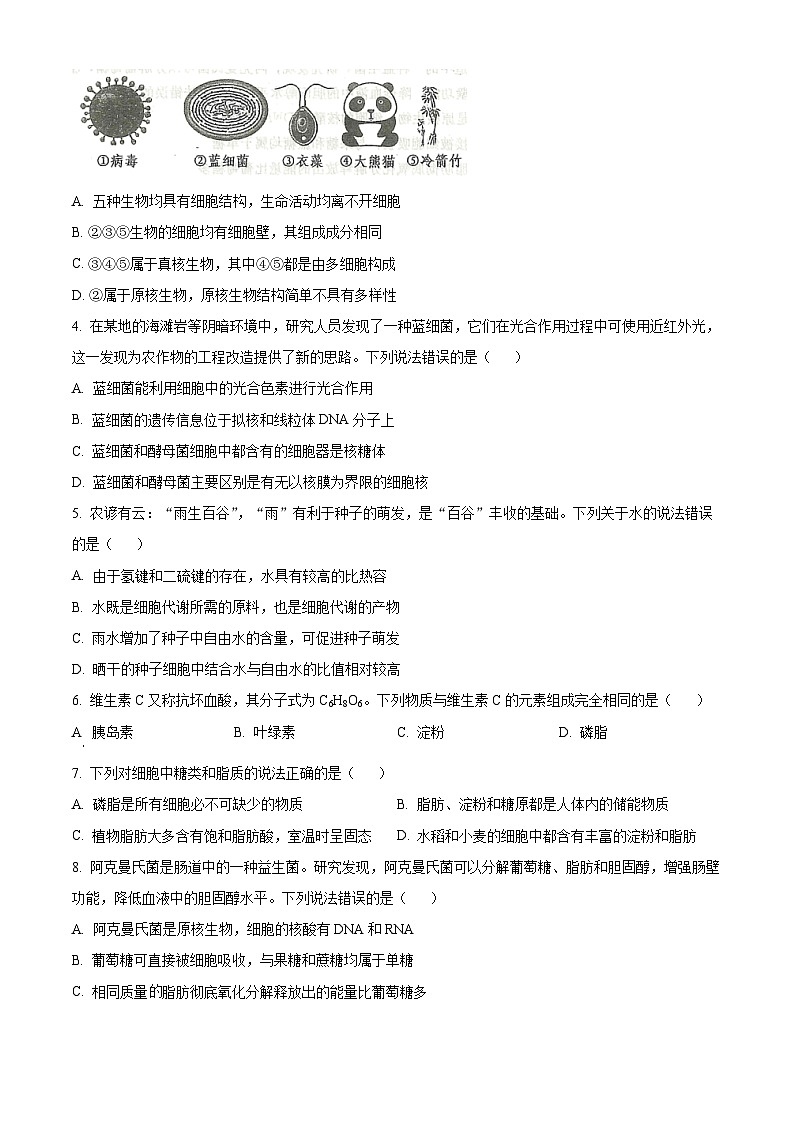 山东省青岛市黄岛区2024-2025学年高一上学期11月期中生物试题  Word版无答案第2页