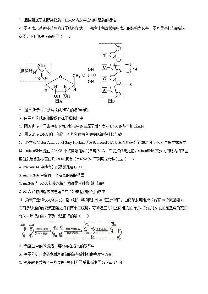 山东省青岛市黄岛区2024-2025学年高一上学期11月期中生物试题  Word版无答案第3页
