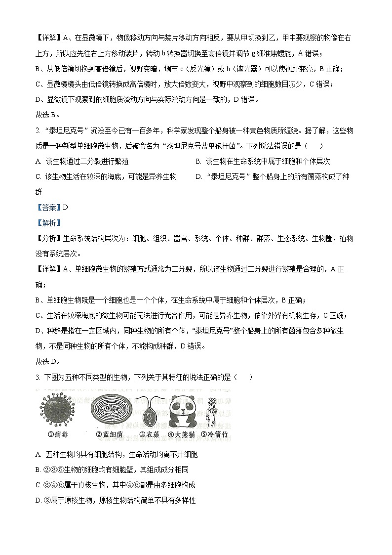 山东省青岛市黄岛区2024-2025学年高一上学期11月期中生物试题  Word版含解析第2页