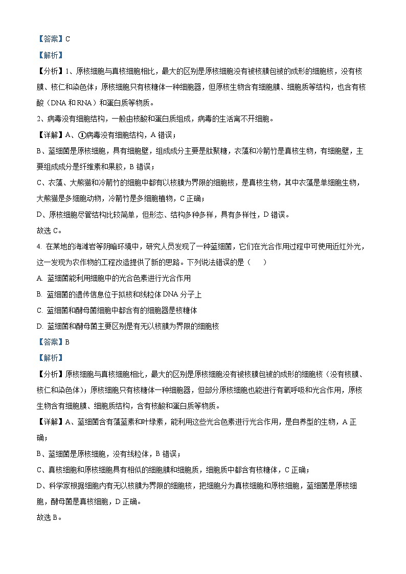 山东省青岛市黄岛区2024-2025学年高一上学期11月期中生物试题  Word版含解析第3页