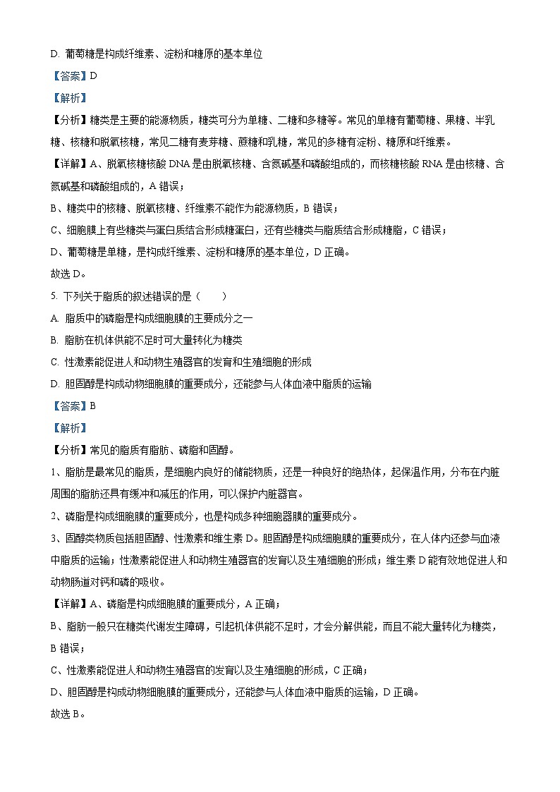 江苏省苏州市2024-2025学年高一上学期11月期中生物试题  Word版含解析第3页
