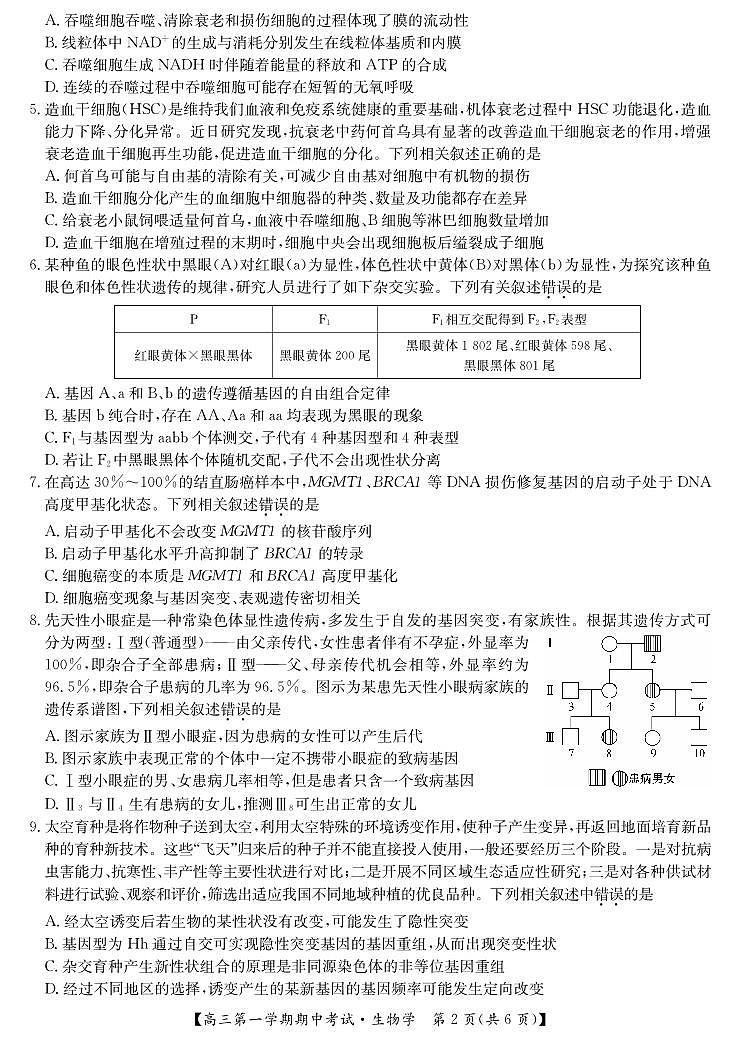 江西省萍乡市2024-2025学年高三上学期期中考试生物试题第2页