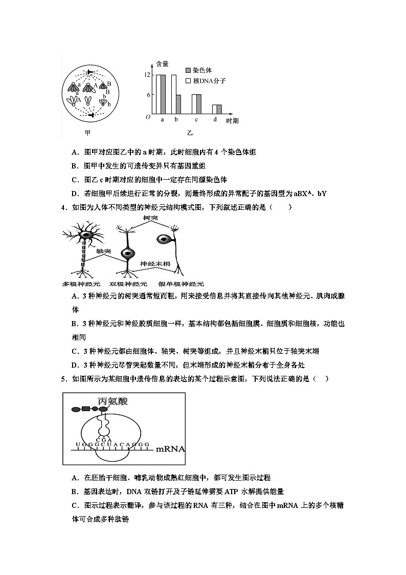 丰城中学2024-2025学年上学期高一期中考试生物试卷（创新班）第2页