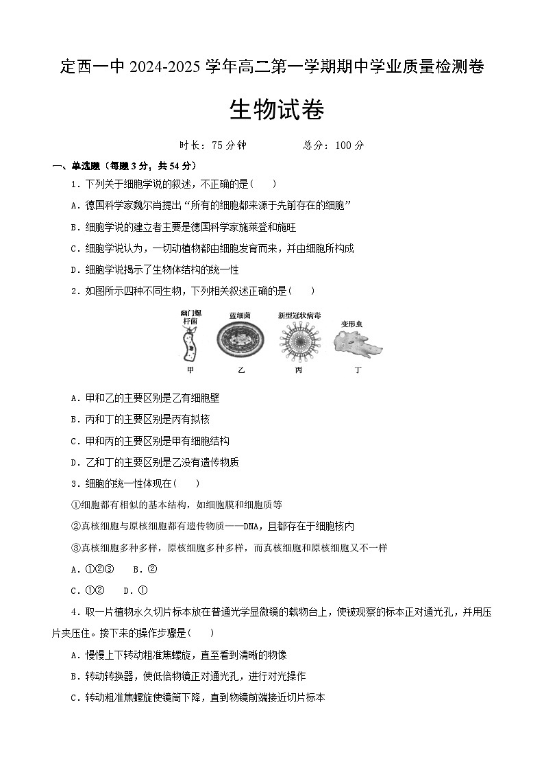 甘肃省定西市安定区定西市第一中学2024-2025学年高二上学期11月期中考试生物试题第1页