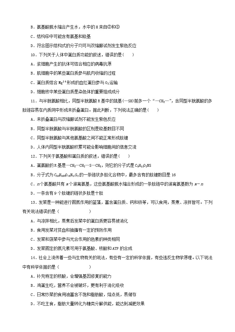 甘肃省定西市安定区定西市第一中学2024-2025学年高二上学期11月期中考试生物试题第3页