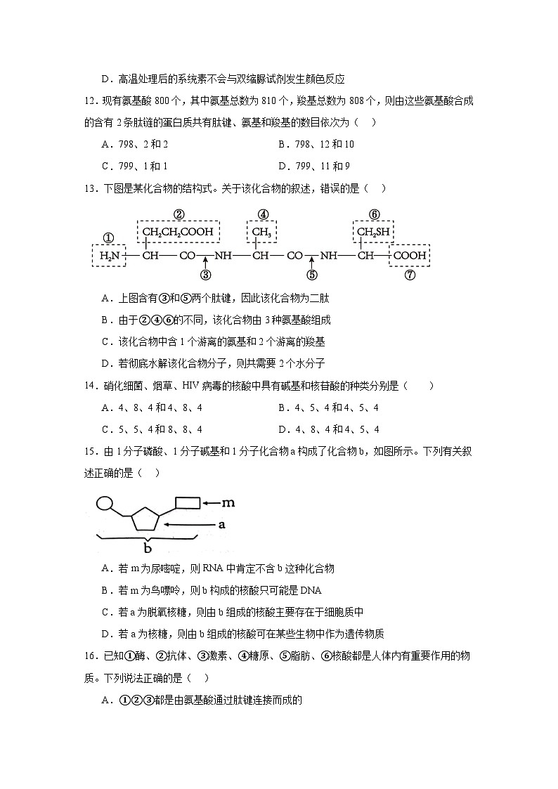 陕西西安碑林区西安市铁一中学2024-2025学年高一上学期期中生物试卷第3页
