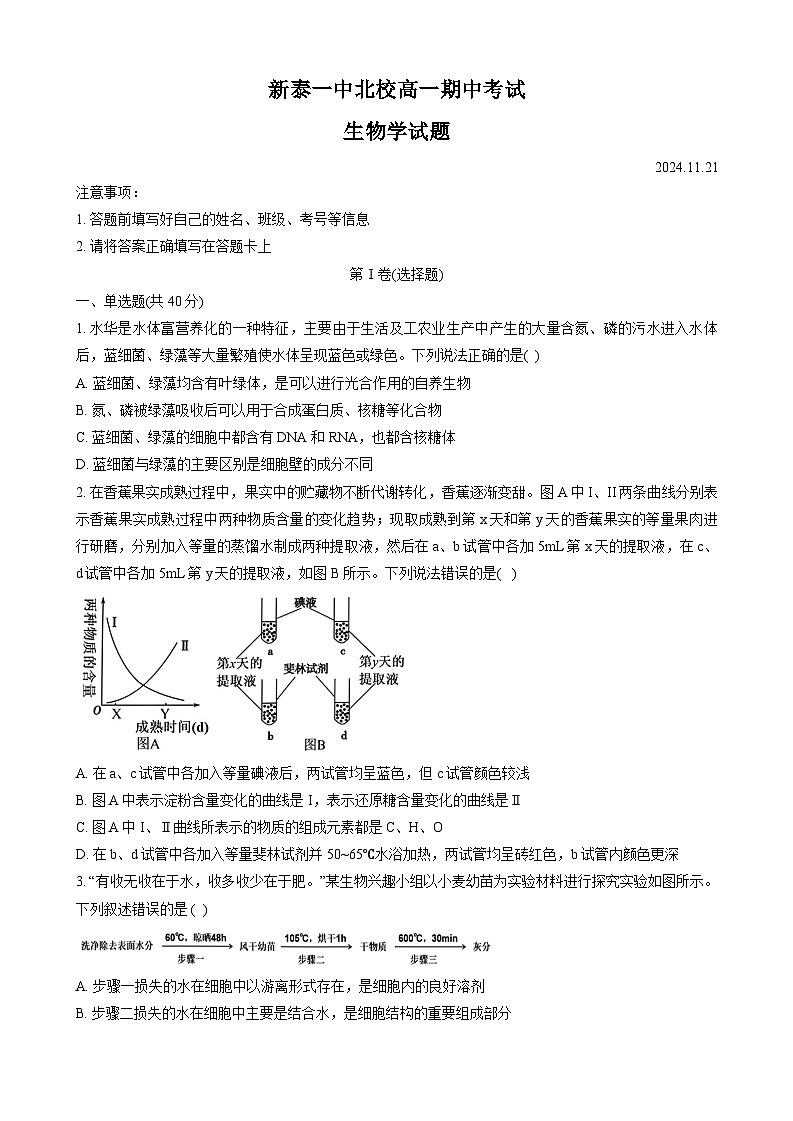 山东省新泰市第一中学北校2024~2025学年高一上学期11月期中考试生物试题第1页