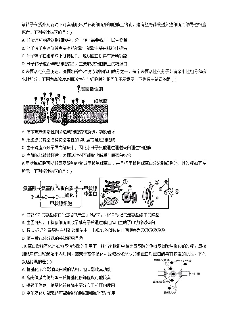 山东省新泰市第一中学北校2024~2025学年高一上学期11月期中考试生物试题第3页