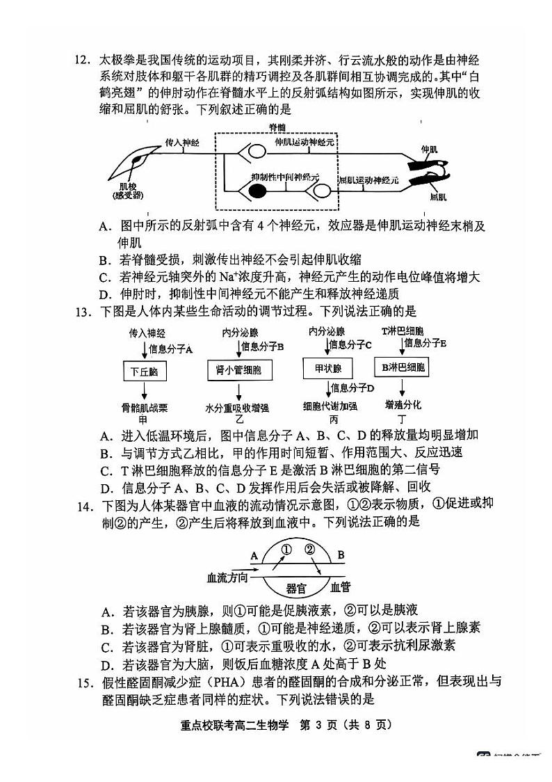 天津市五区县重点校联考2024-2025学年高二上学期11月期中生物试题 PDF版含答案第3页
