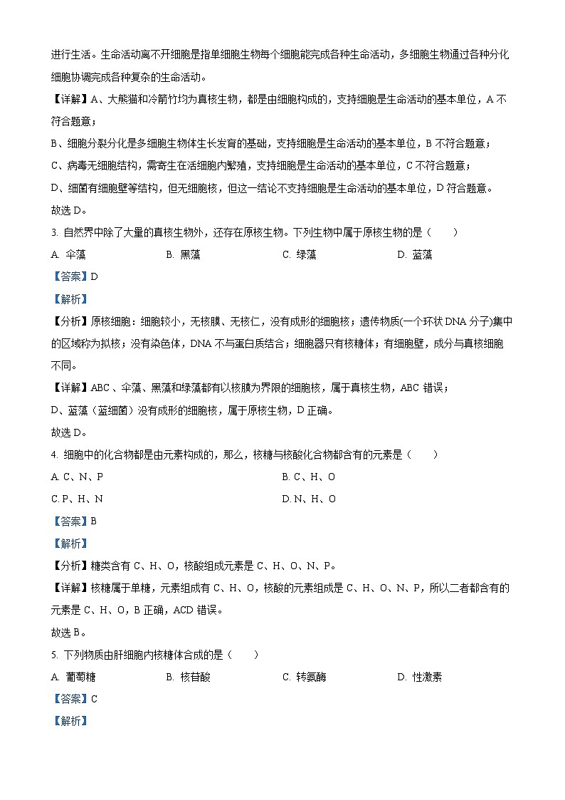 四川省绵阳市2024-2025学年高一上学期11月期中考试生物试题  Word版含解析第2页