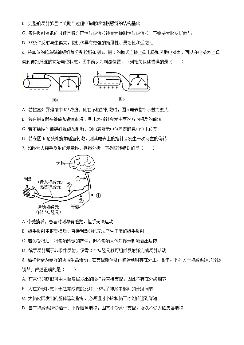 辽宁省名校联盟2024-2025学年高二上学期期中考试生物试题  Word版无答案第2页