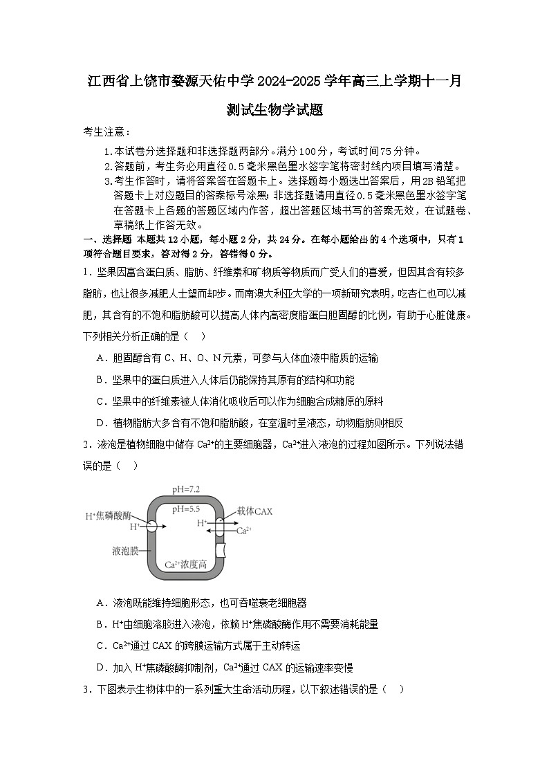 江西省上饶市婺源天佑中学2024-2025学年高三上学期11月测试生物试题第1页