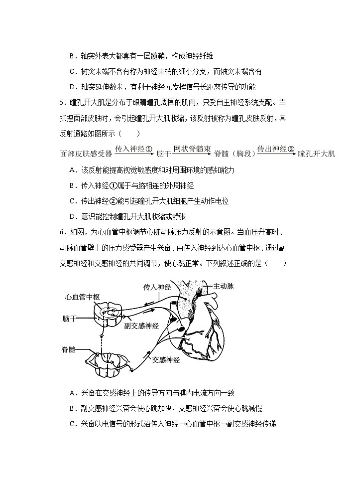 江西省上饶市婺源天佑中学2024-2025学年高二上学期11月测试生物试题第3页