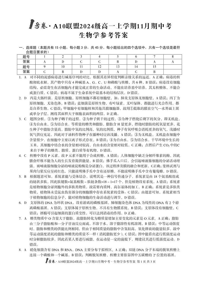安徽省A10联盟2024-2025学年高一上学期11月期中联考生物试卷01
