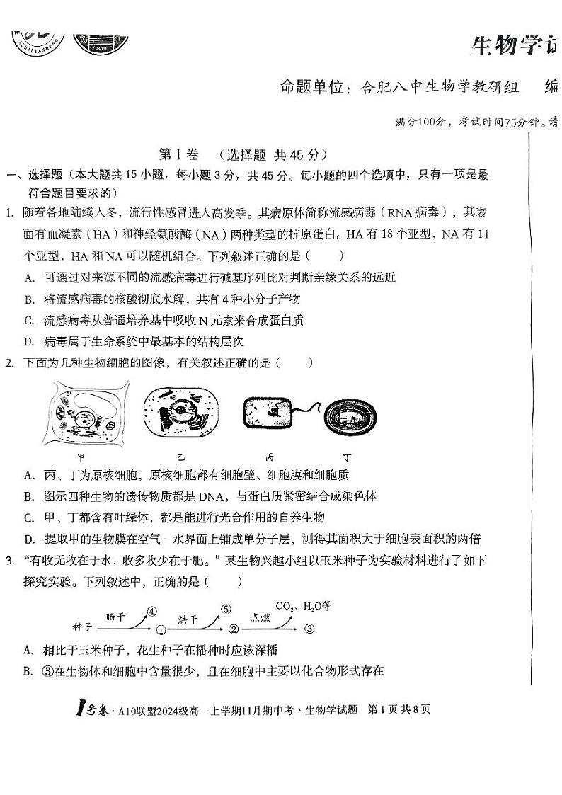 安徽省A10联盟2024-2025学年高一上学期11月期中联考生物试卷01