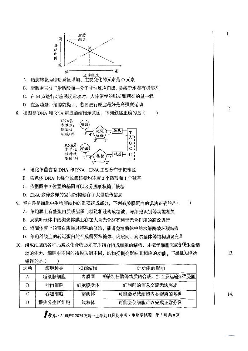 安徽省A10联盟2024-2025学年高一上学期11月期中联考生物试卷03