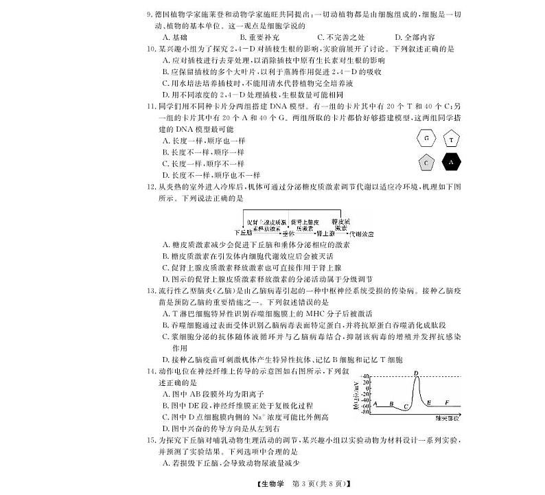 强基联盟高二11月联考--生物试卷第3页