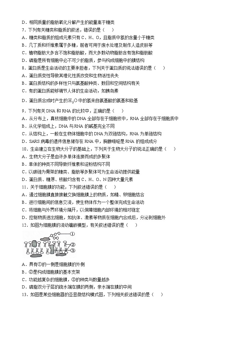黑龙江省大庆市让胡路区大庆市大庆中学2024-2025学年高一上学期11月期中生物试题第2页