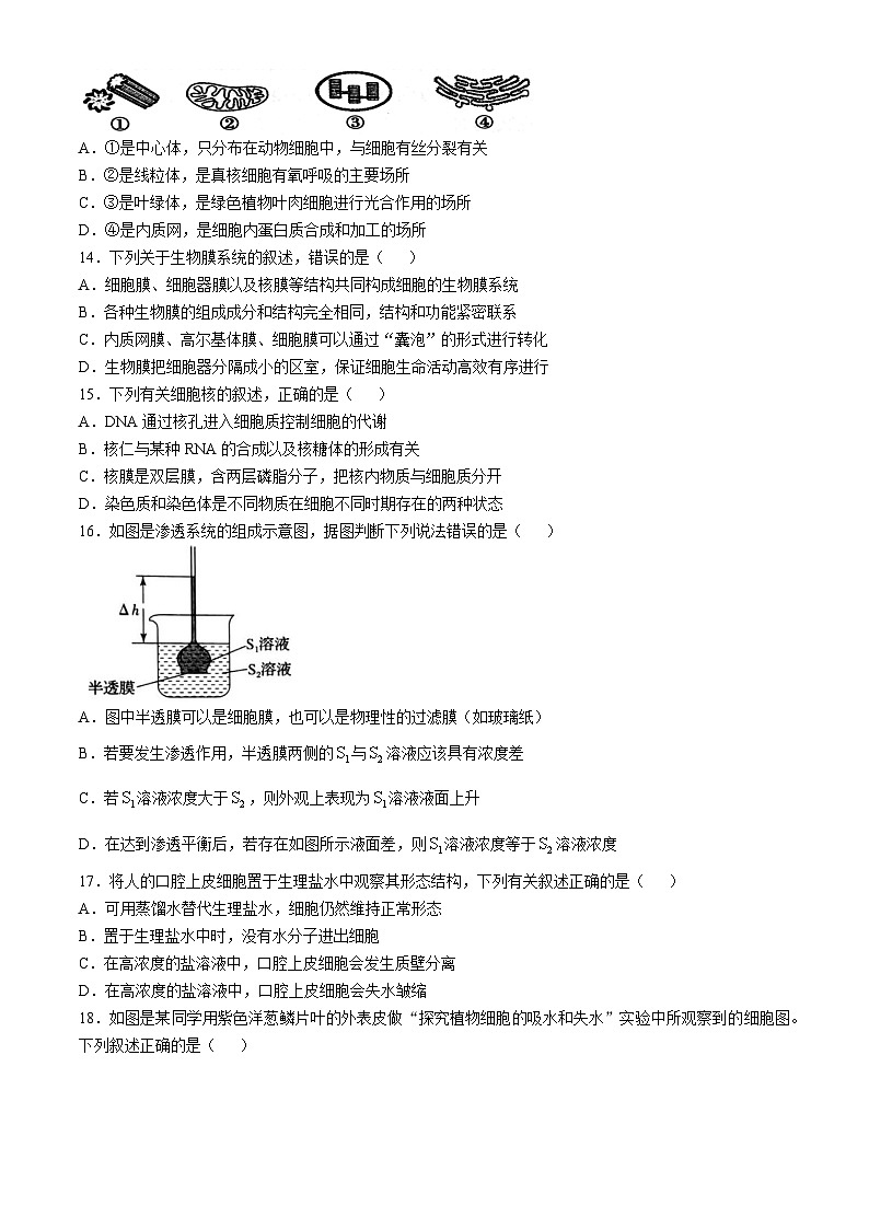 黑龙江省大庆市让胡路区大庆市大庆中学2024-2025学年高一上学期11月期中生物试题第3页