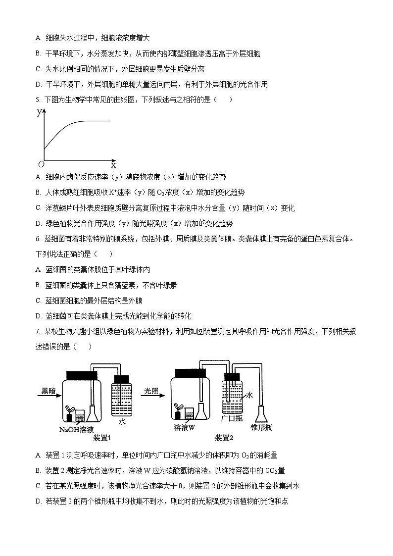 四川省雅安市2024-2025学年高三上学期11月“零诊”生物试卷  Word版无答案第2页