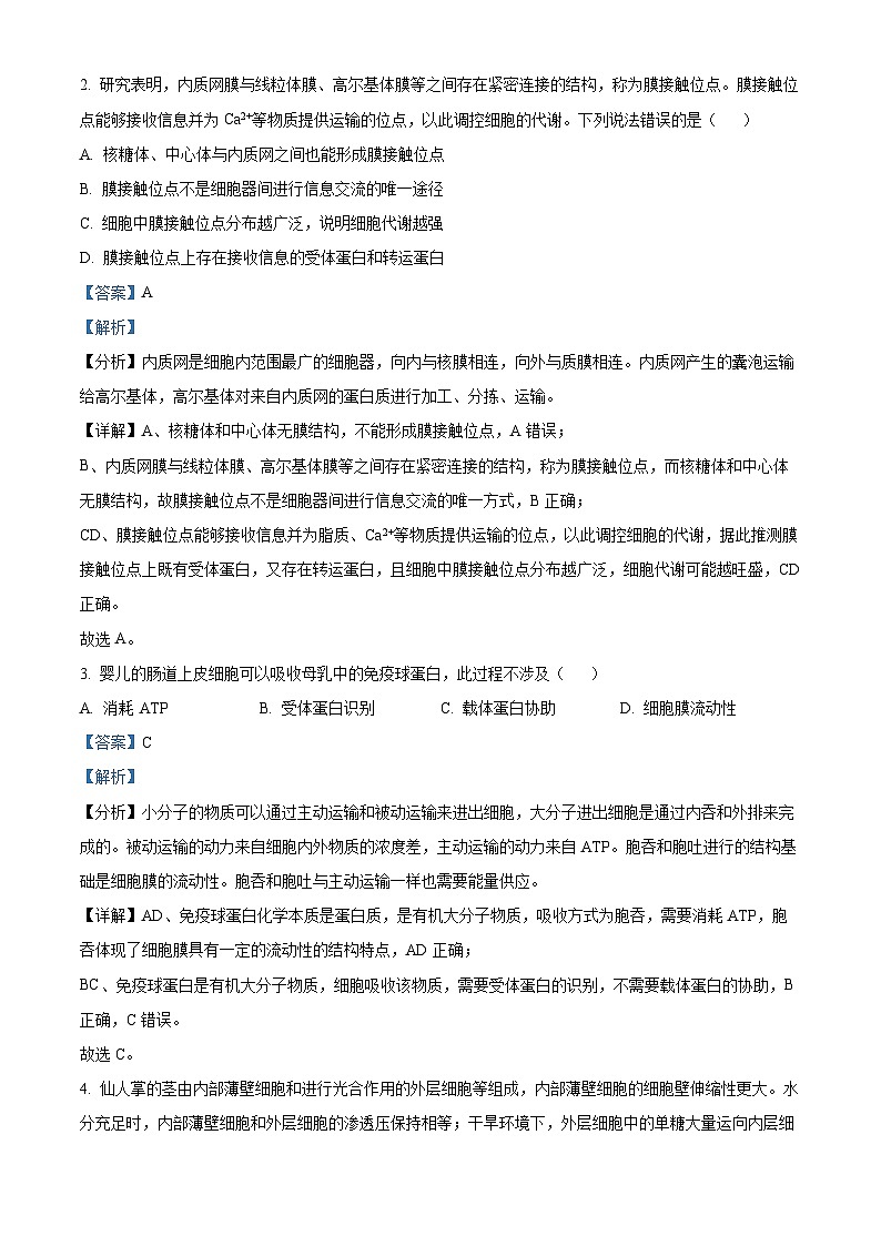 四川省雅安市2024-2025学年高三上学期11月“零诊”生物试卷  Word版含解析第2页