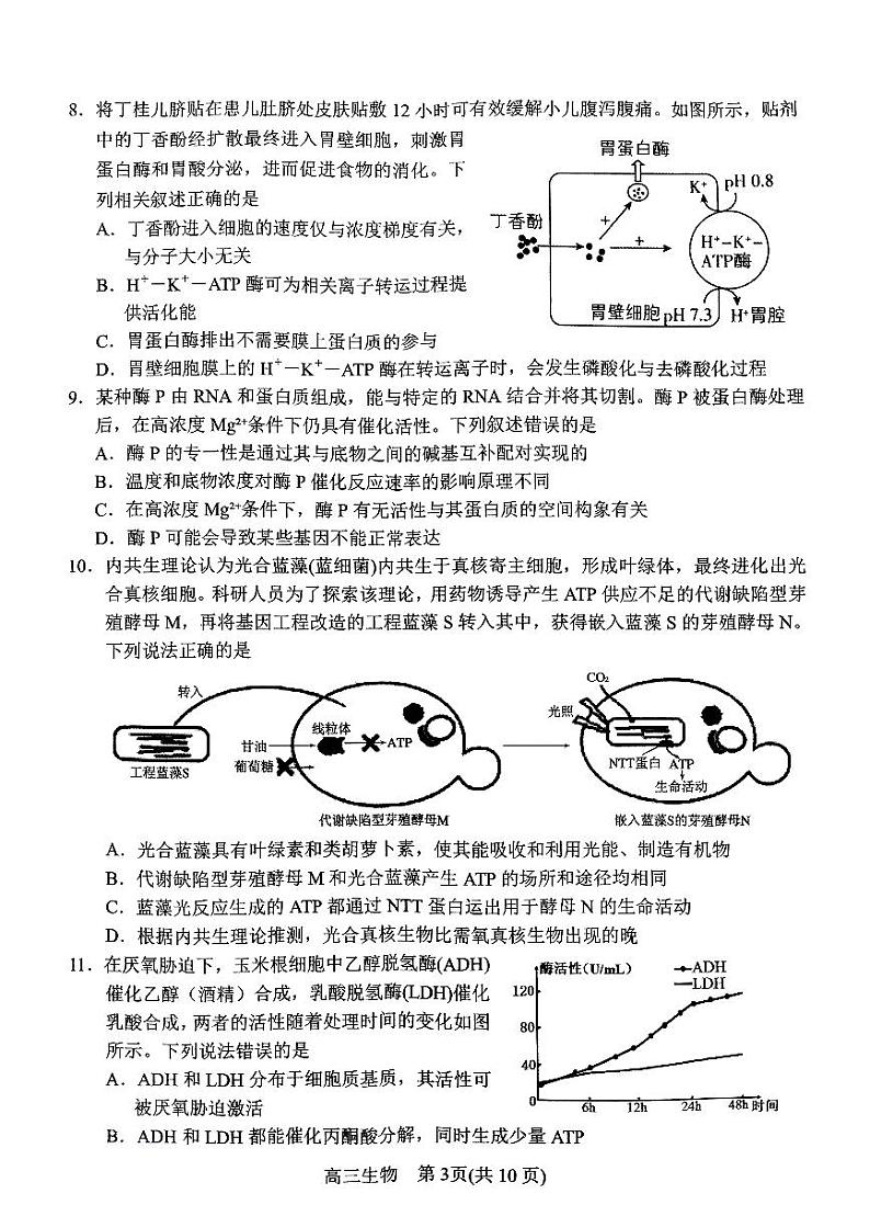 2025届河南省南阳市高三上学期11月期中考-生物试题+答案第3页