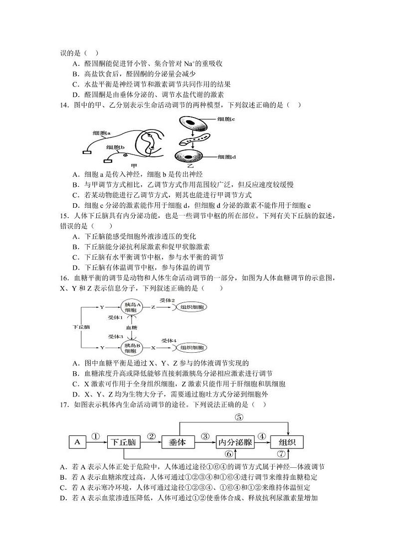 四川省绵阳市盐亭县盐亭中学2024-2025学年高二上学期11月第二次月考生物试题03