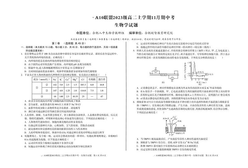 安徽省A10联盟2024-2025学年高二上学期11月期中考试生物试题01
