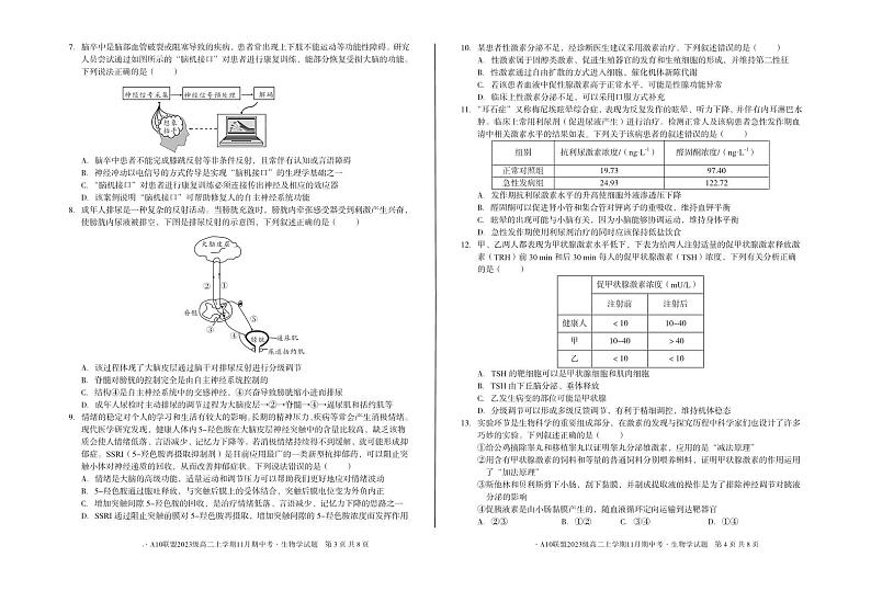 安徽省A10联盟2024-2025学年高二上学期11月期中考试生物试题02