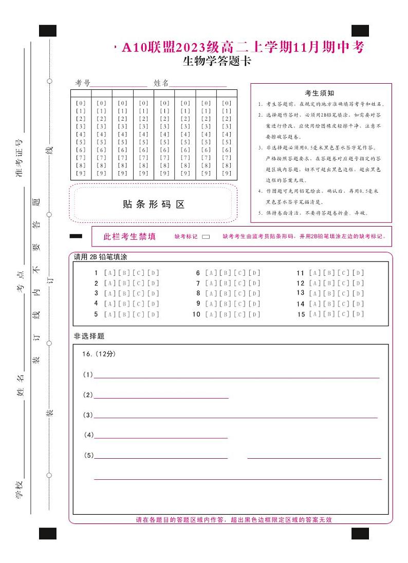 安徽省A10联盟2024-2025学年高二上学期11月期中考试生物试题01