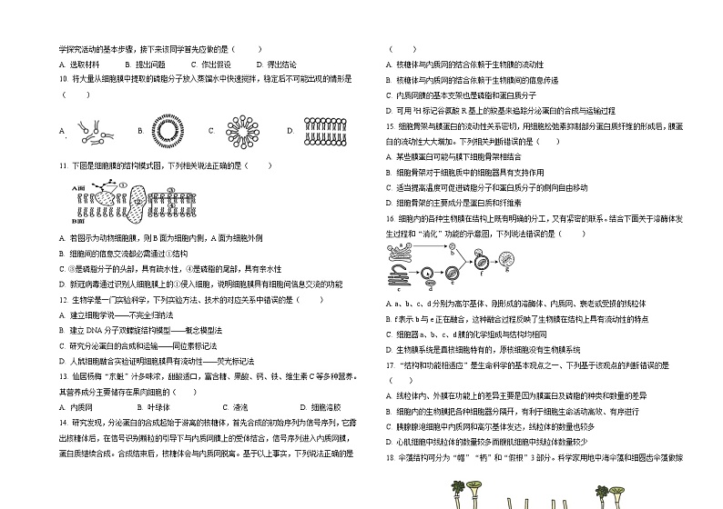 山西省阳泉市郊区阳泉市第一中学校2024-2025学年高一上学期11月期中生物试题第2页