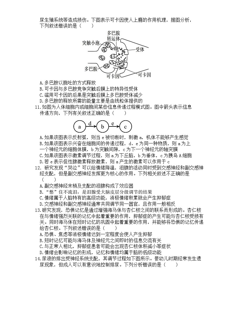 贵州省仁怀市第四中学2024-2025学年高二上学期10月检测生物试题第3页