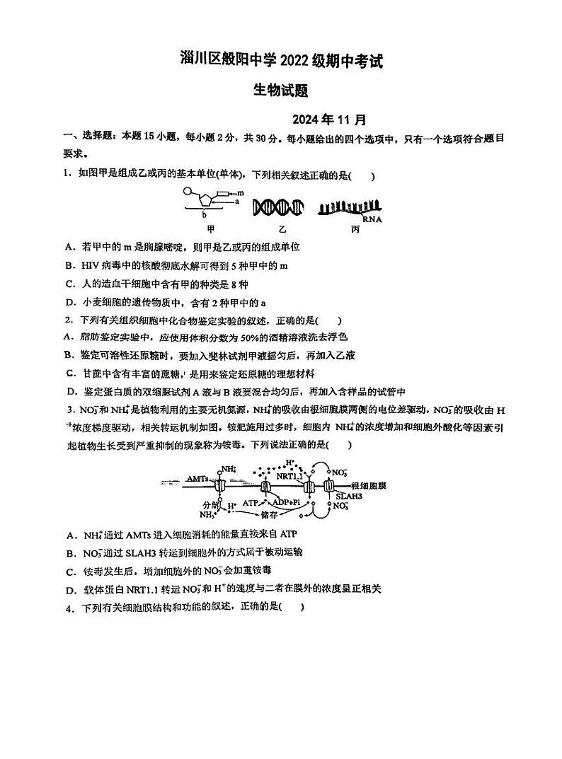 高三般阳生物第1页