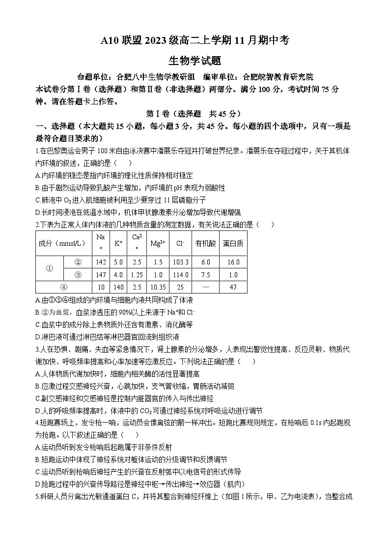 安徽省A10联盟2024-2025学年高二上学期11月期中考试生物试题01
