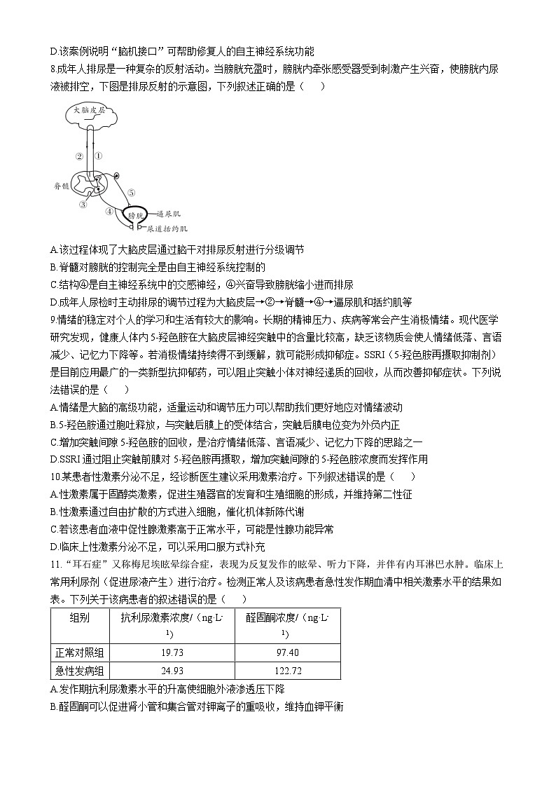 安徽省A10联盟2024-2025学年高二上学期11月期中考试生物试题03