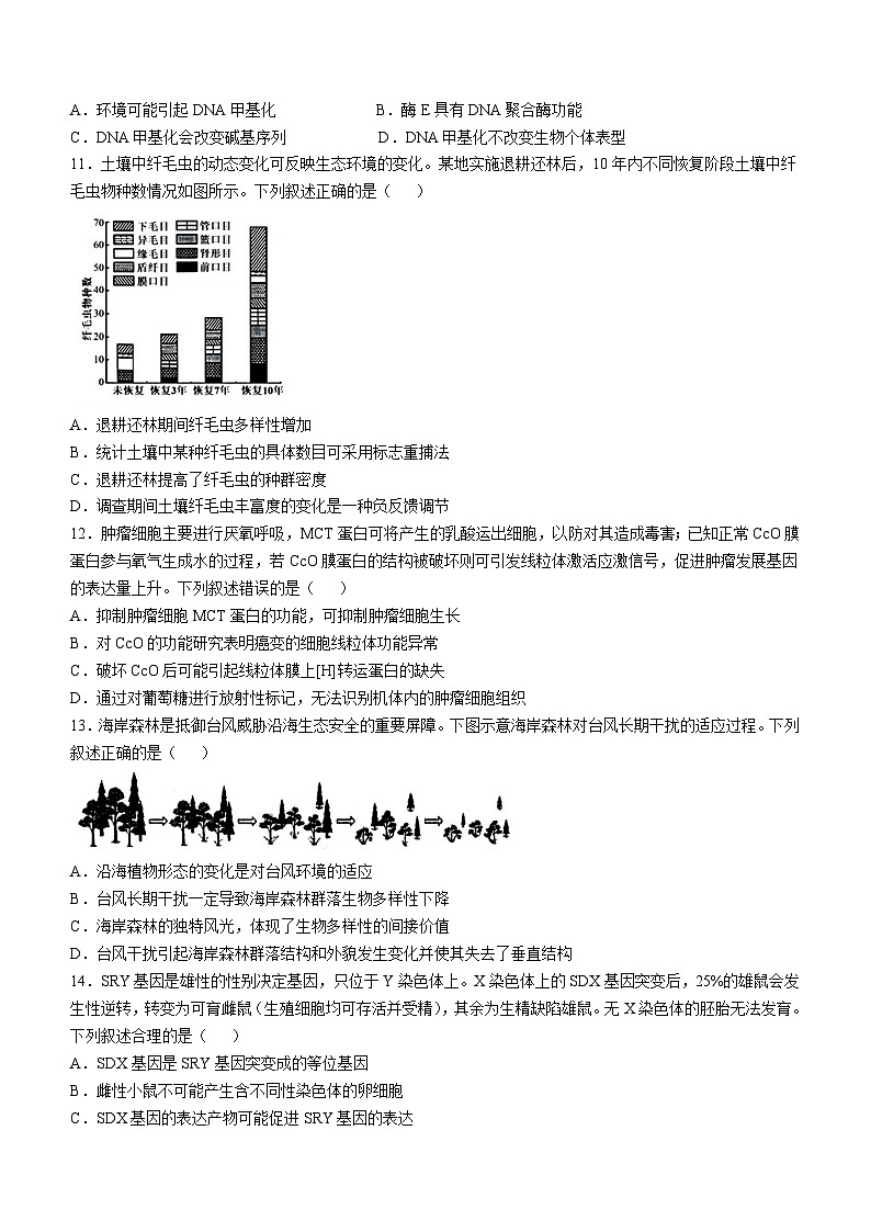 浙江省9+1高中联盟2024-2025学年高三上学期11月期中考试生物试题03
