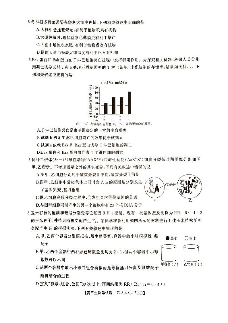 湖南省三湘名校教育联盟2025届高三上学期高考第二次大联考生物试题02