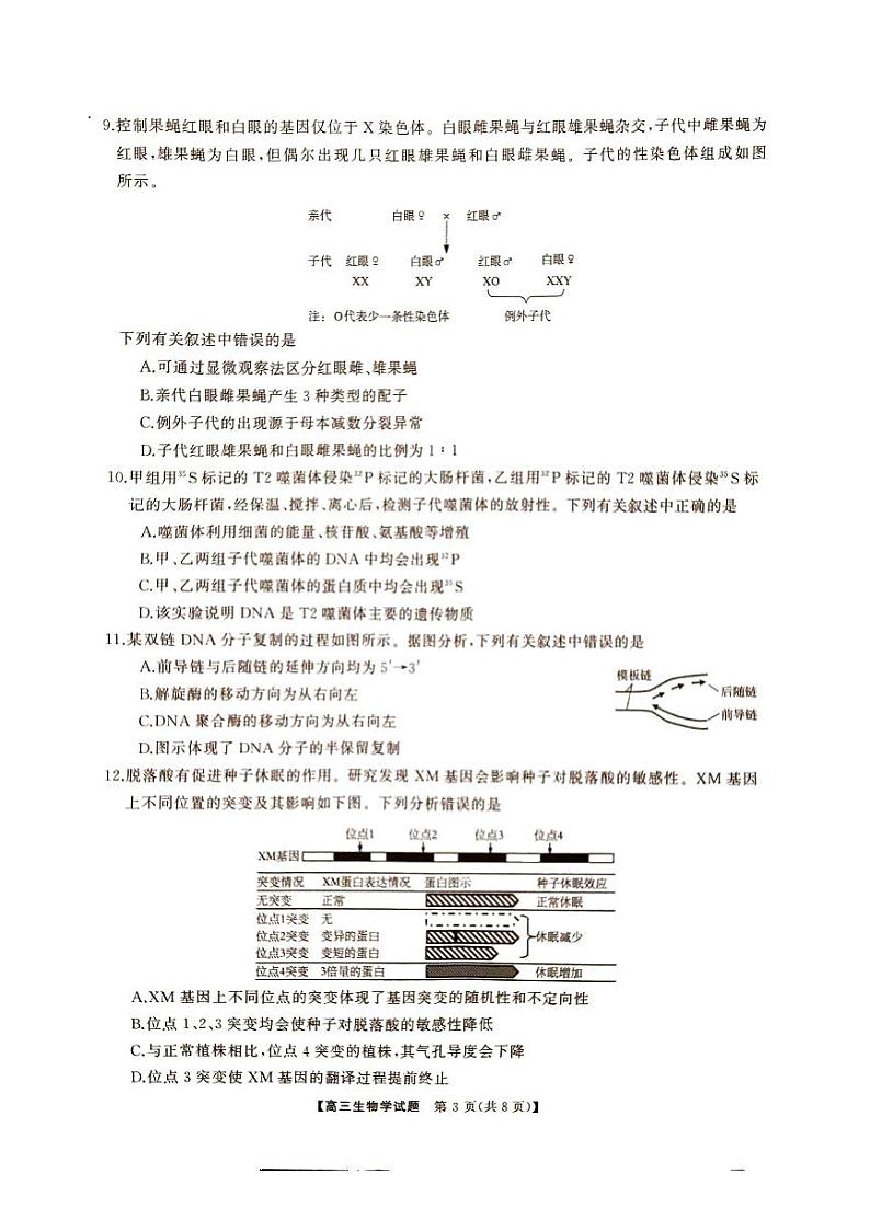 湖南省三湘名校教育联盟2025届高三上学期高考第二次大联考生物试题03